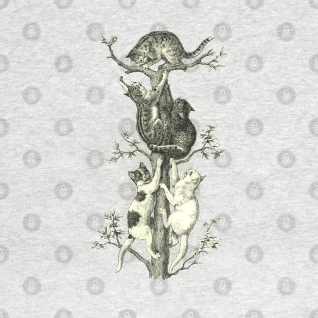 CAT UP THE TREE by Biophilia